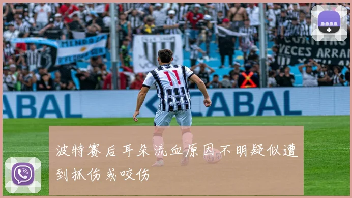 波特赛后耳朵流血原因不明疑似遭到抓伤或咬伤
